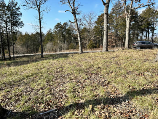 LOT 14A WOODLANDS ON THE LAKE, GALENA, MO 65656, photo 4 of 19