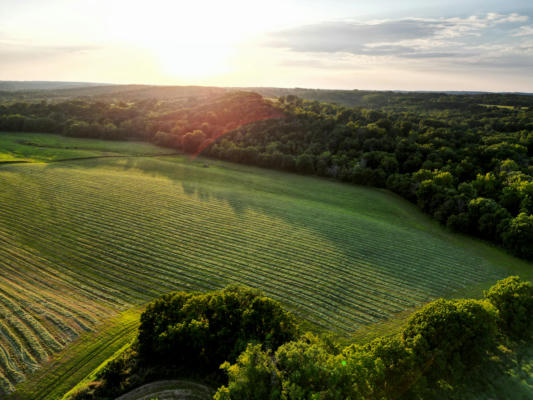 00G HIGHWAY 38, HARTVILLE, MO 65667 - Image 1