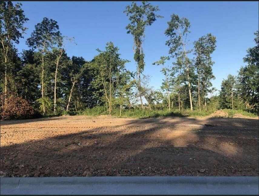 LOT 10 ANTHONY PARK SUBDIVISION PH 4, SPRINGFIELD, MO 65810, photo 1