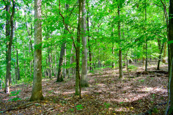 000 AUTUMN ESTATES SUBDIVISION # LOT 20, CASSVILLE, MO 65625, photo 2 of 7