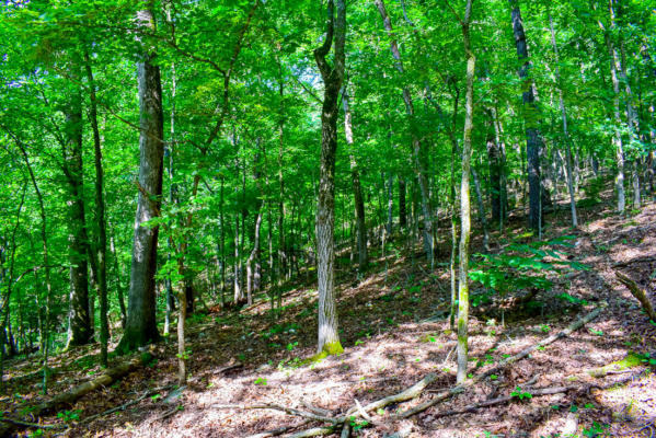 000 AUTUMN ESTATES SUBDIVISION # LOT 20, CASSVILLE, MO 65625, photo 3 of 7