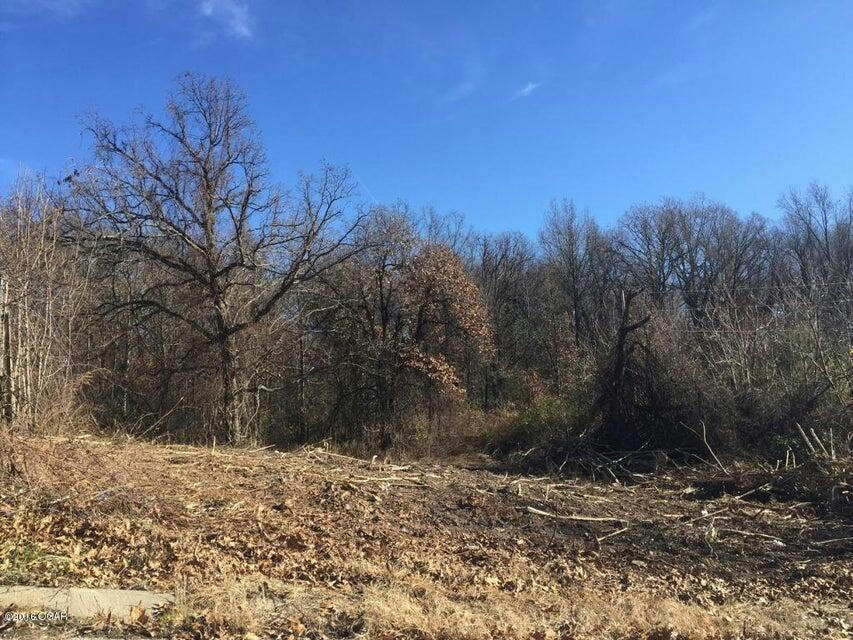 LOT 47 SALLY ANN AVENUE, NEOSHO, MO 64850, photo 1