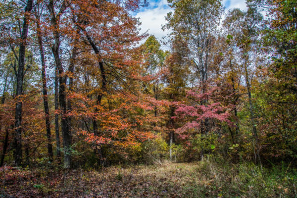 000 COUNTY ROAD 873, THORNFIELD, MO 65762, photo 3 of 8