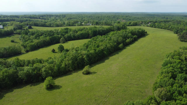 000 LONGVIEW ROAD, ELK CREEK, MO 65464 - Image 1