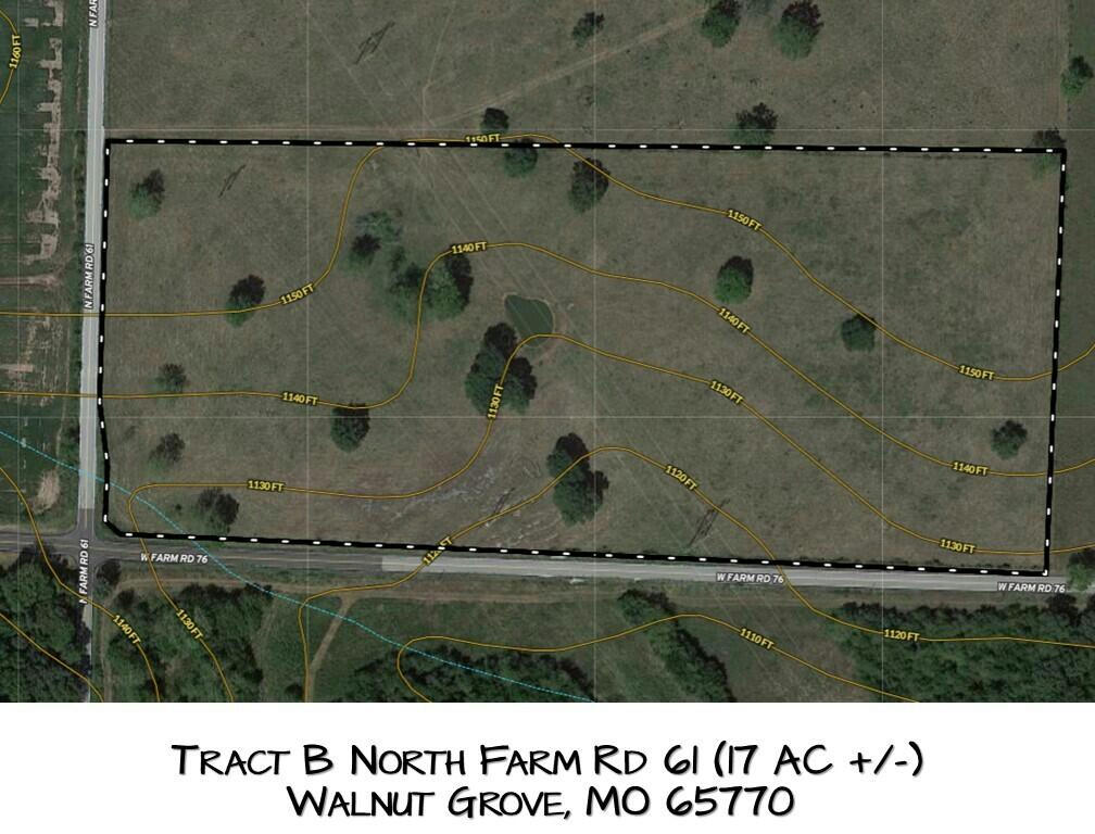 TRACT B NORTH FARM ROAD 61, WALNUT GROVE, MO 65770, photo 1 of 3