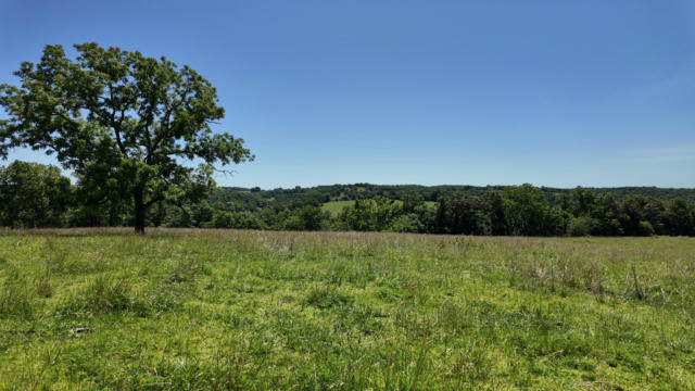 000 COUNTY RD 945, THORNFIELD, MO 65762 - Image 1