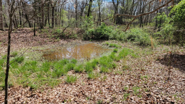 80 +/- AC RAVEN ROAD, GRANBY, MO 64844 - Image 1