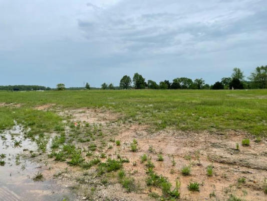 S JAMESTOWN SOUTH BOULEVARD # LOT 2, ROGERSVILLE, MO 65742, photo 4 of 5