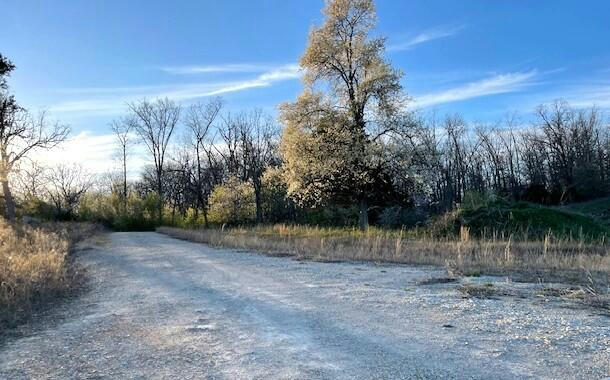 LOT #1 COUNTY ROAD 8510, WEST PLAINS, MO 65775, photo 5 of 16