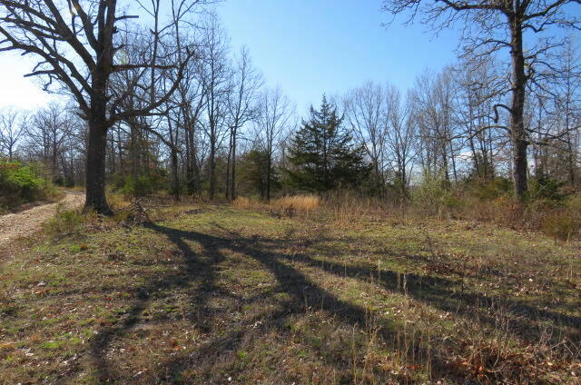 000 TBD OLD JERICHO ROAD, SEYMOUR, MO 65746, photo 1 of 5