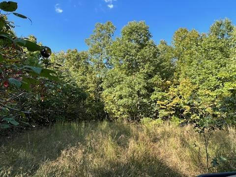 000 COUNTY ROAD 118, ANNAPOLIS, MO 63620, photo 5 of 26