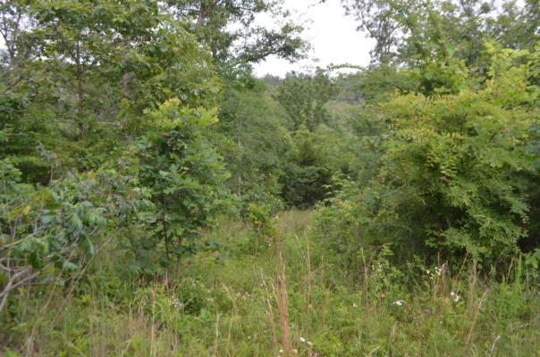 LOT 6 SCENIC HEIGHTS, BRUNER, MO 65620 - Image 1