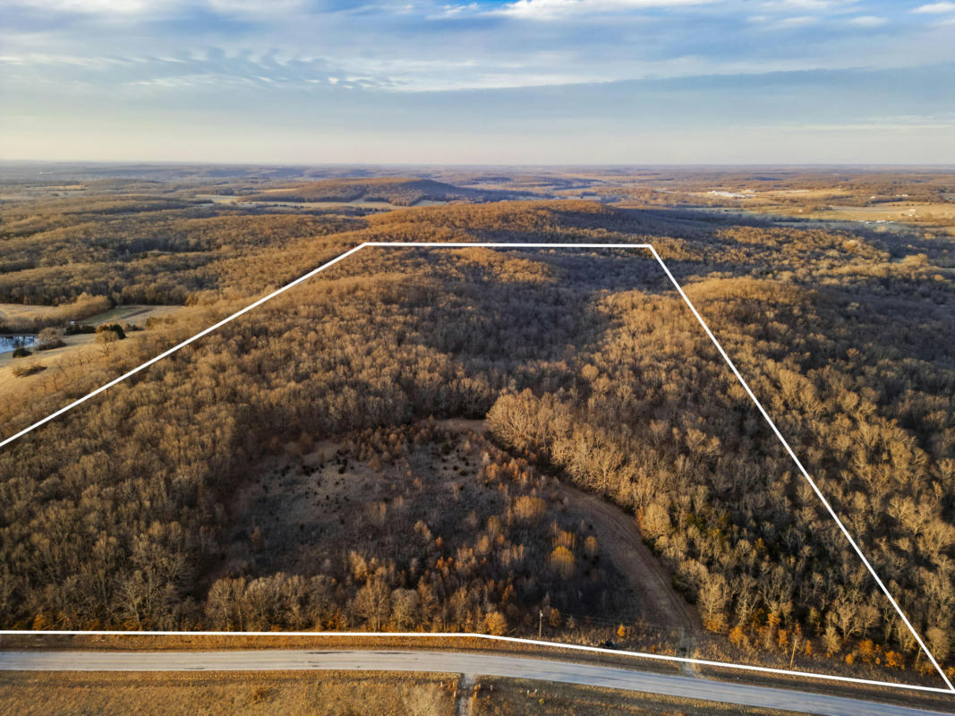 000 HIGHWAY N, HUMANSVILLE, MO 65674, photo 1 of 18