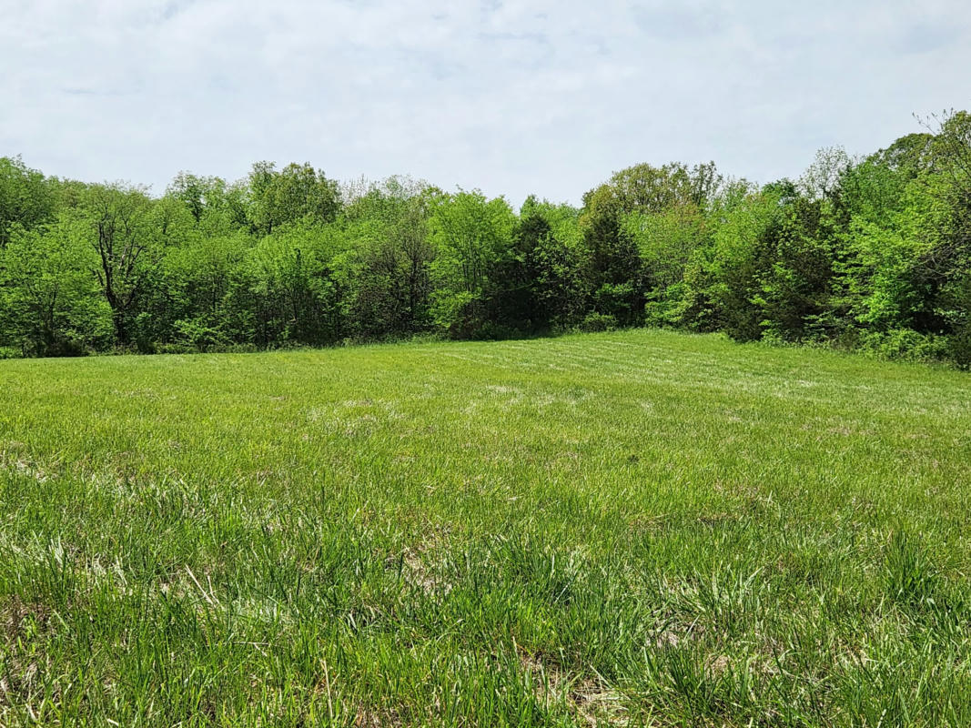 000 RIVER PASS DR LOT 11 PHASE 2, MARSHFIELD, MO 65706, photo 1 of 3