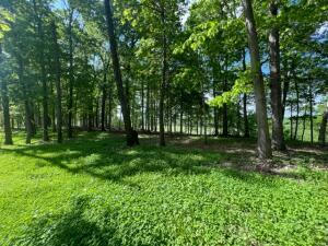 LOT 10 FAUGHT ROAD, OZARK, MO 65721, photo 1 of 8