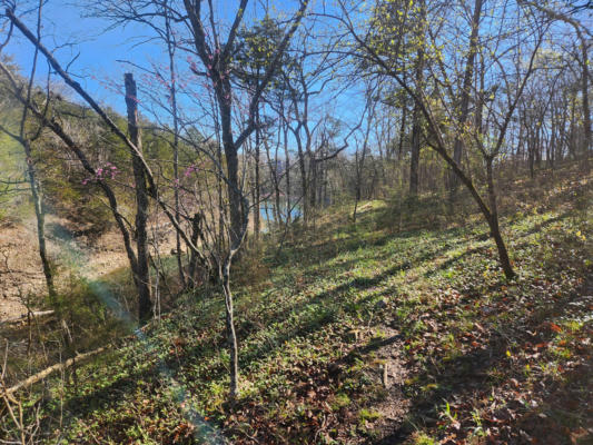 LOT 21 CEDAR COVE ESTATES, SHELL KNOB, MO 65747, photo 4 of 16