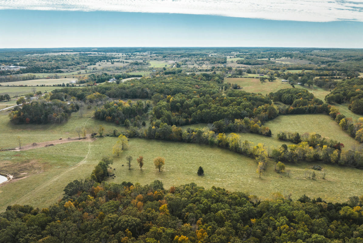 000 HIGHWAY HH TRACT 2, SALEM, MO 65560, photo 1 of 19