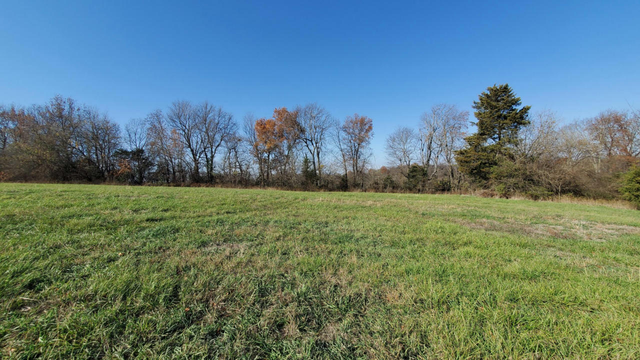 6533 S LOCK LANE # (LOT 3), REPUBLIC, MO 65738, photo 1 of 5