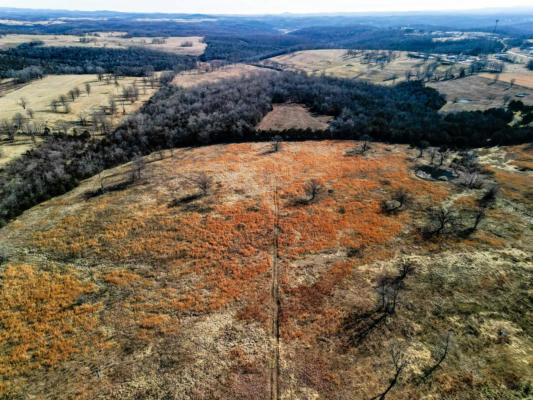 000 STATE HIGHWAY 95 # LOT 4, THEODOSIA, MO 65761, photo 2 of 18