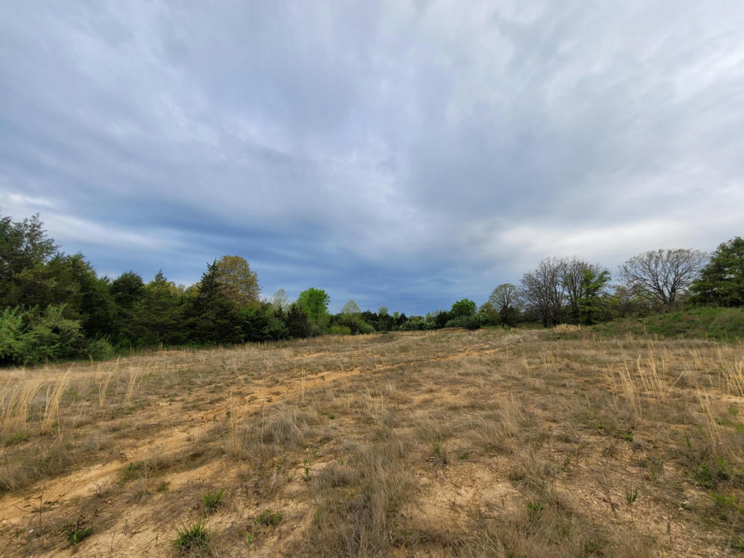 000 BLUEBIRD ROAD, CABOOL, MO 65689, photo 1 of 4