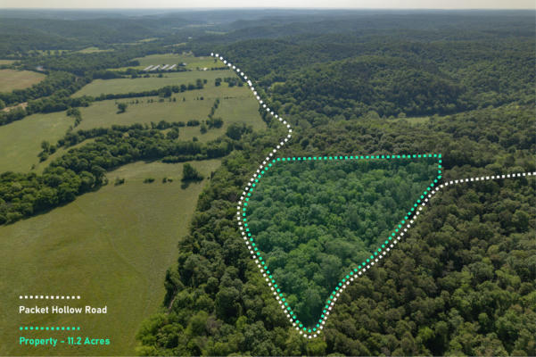 000 PACKET HOLLOW ROAD, PINEVILLE, MO 64856 - Image 1