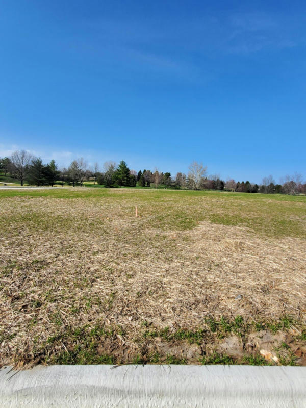 LOT 51 VINTAGE POINTE, SPRINGFIELD, MO 65809, photo 1 of 3