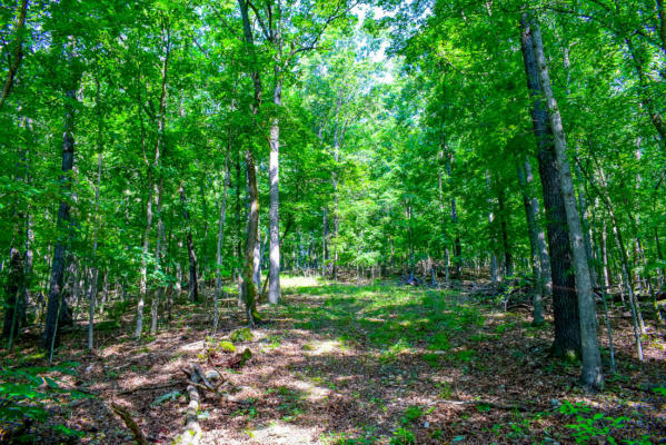 000 AUTUMN ESTATES SUBDIVISION # LOTS 25-27, CASSVILLE, MO 65625, photo 3 of 6