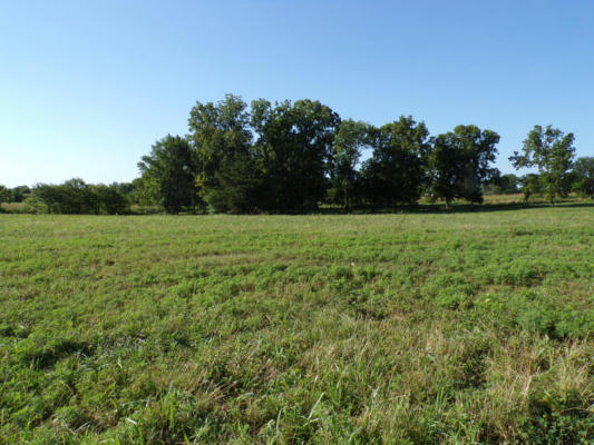 000 H HIGHWAY, GREENFIELD, MO 65661 - Image 1