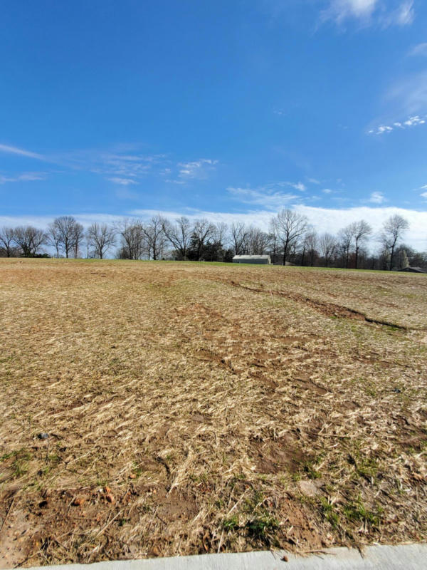 LOT 48 VINTAGE POINTE, SPRINGFIELD, MO 65809, photo 1 of 3