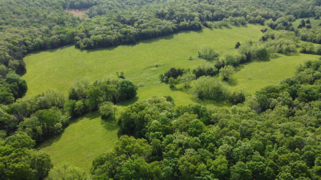 17551 LONGVIEW RD, ELK CREEK, MO 65464 - Image 1