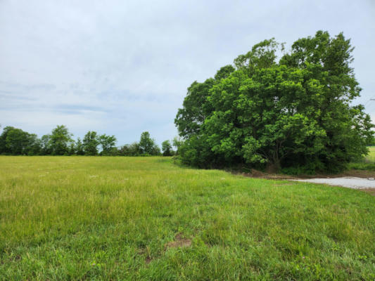 TRACT 2A BLUE BELL ROAD, BILLINGS, MO 65610 - Image 1