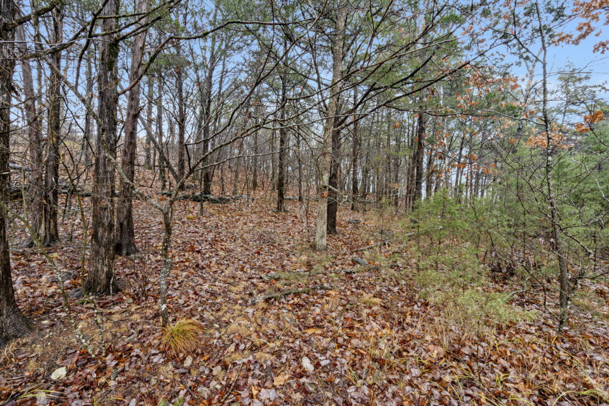 LOT 24 SPRING COURT, BRANSON, MO 65616, photo 1 of 45