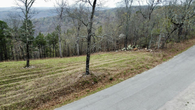 000 SKYLINE DRIVE, VAN BUREN, MO 63965, photo 4 of 12