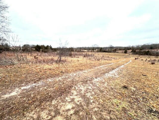 000 COUNTY ROAD 2960, MOUNTAIN VIEW, MO 65548, photo 3 of 4