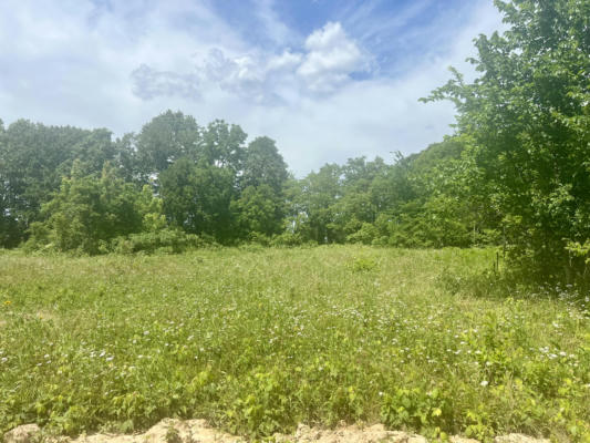 LOT 4 HWY 112, CASSVILLE, MO 65625 - Image 1