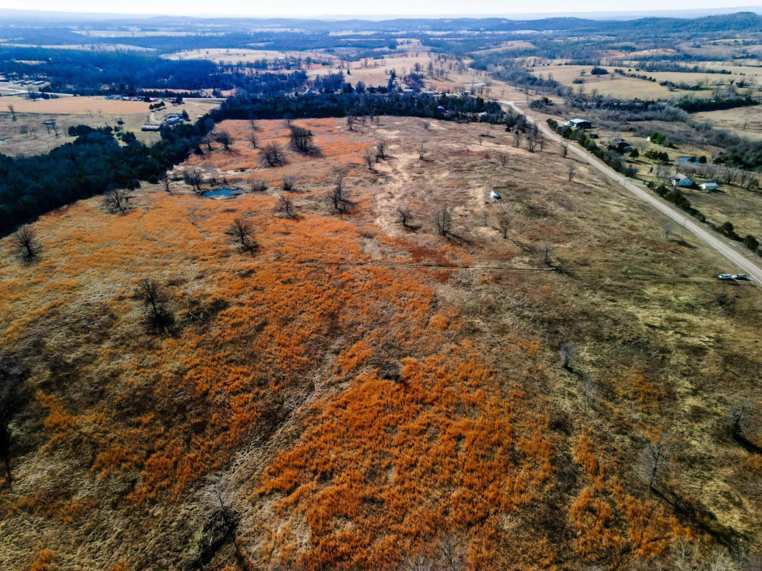 000 STATE HIGHWAY 95 # LOT 4, THEODOSIA, MO 65761, photo 1 of 18