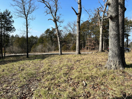 LOT 14A WOODLANDS ON THE LAKE, GALENA, MO 65656, photo 4 of 15
