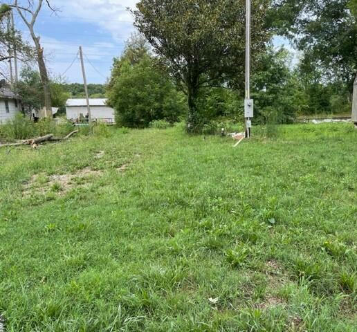 603 S GULF ST, HUMANSVILLE, MO 65674, photo 1 of 4