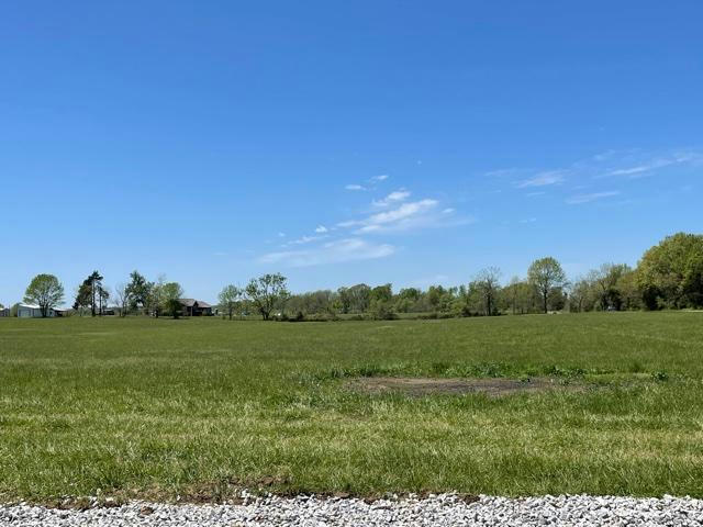TRACT 7 EAGLES ROOST DRIVE, MOUNTAIN GROVE, MO 65711, photo 1 of 5