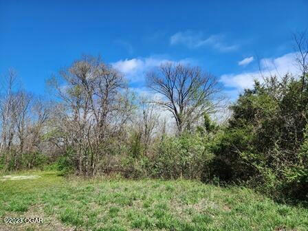 TRACT 4 HIGHWAY D, WEBB CITY, MO 64870 - Image 1