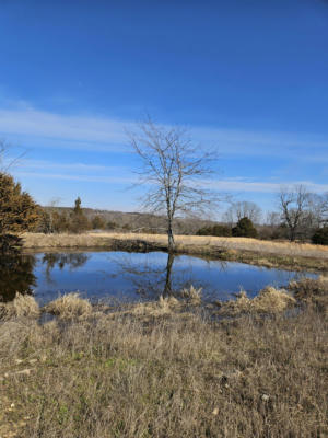 CR 160-900 US HIGHWAY 160, THEODOSIA, MO 65761, photo 3 of 10