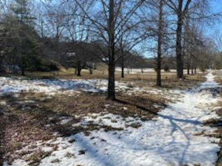 000 LOT 12 FOGGY RIVER ROAD, HOLLISTER, MO 65672, photo 1 of 5