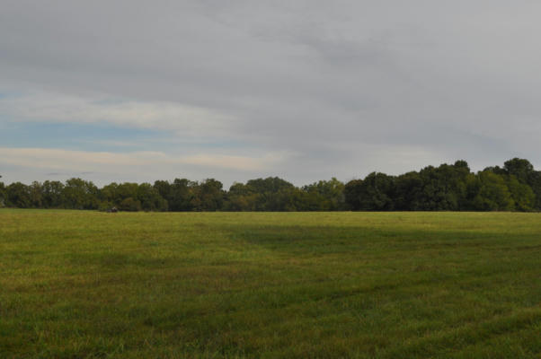 TRACT 5 ROSE HILL ROAD, BILLINGS, MO 65610 - Image 1
