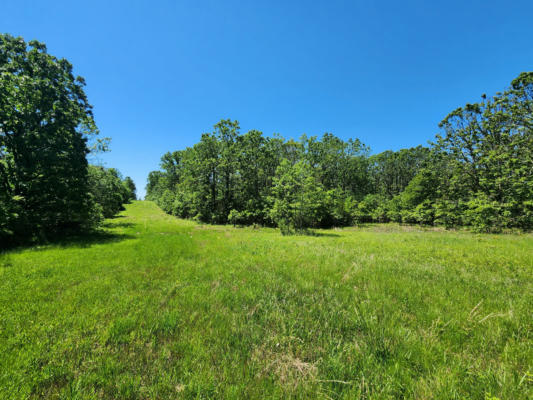 000 COUNTY ROAD 3330, MOUNTAIN VIEW, MO 65548 - Image 1