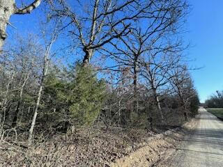 000 COUNTY ROAD 3200, MOUNTAIN VIEW, MO 65548, photo 1 of 4