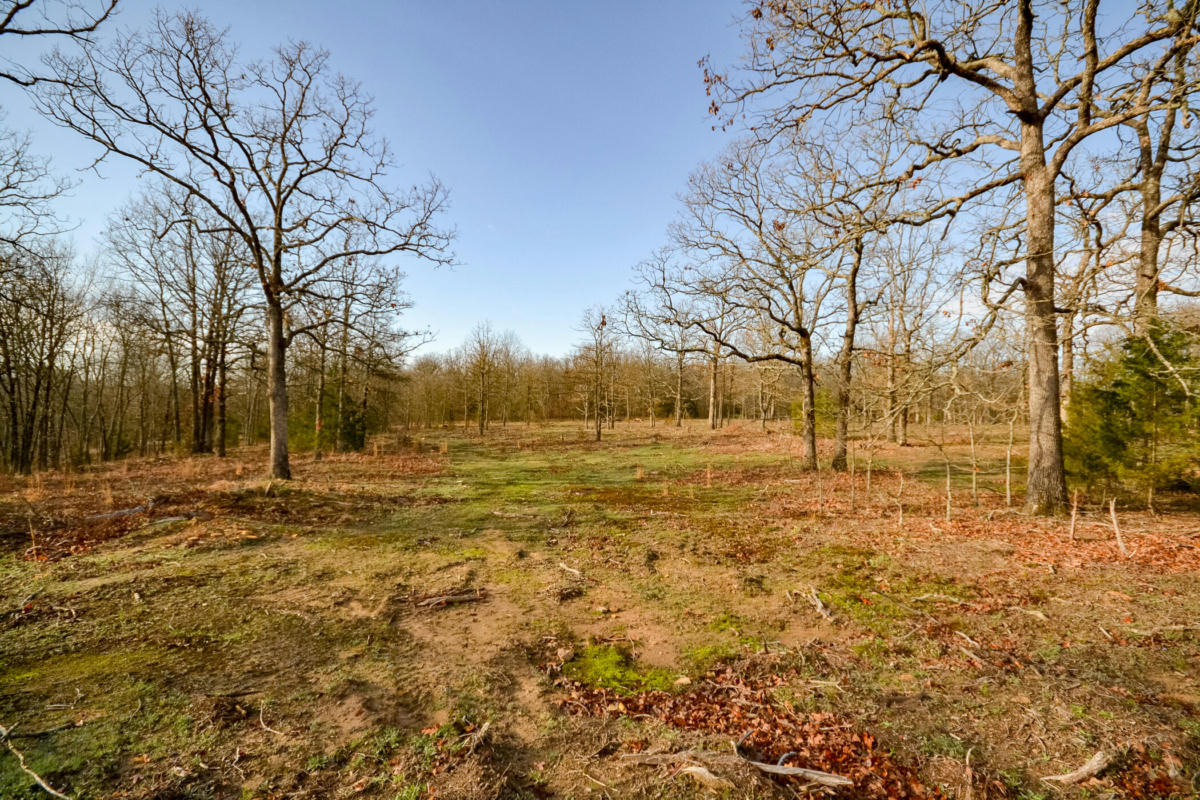 1000 NORTHEAST 100TH ROAD # SOUTH TRACT, SHELDON, MO 64784, photo 1 of 29