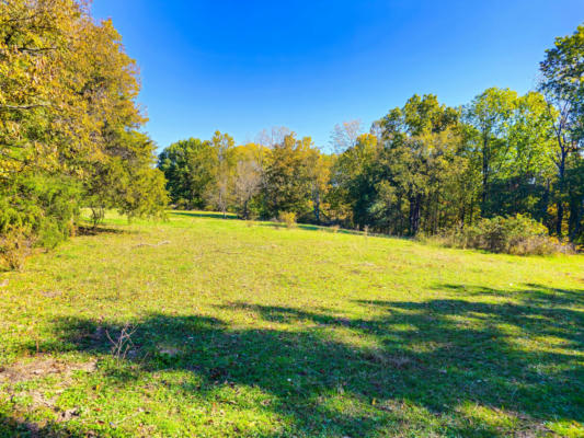 000 COUNTY ROAD T-541, AVA, MO 65608, photo 3 of 25