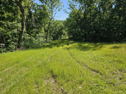 6.76 AC TOWN HOLLOW ROAD, ANDERSON, MO 64831 - Image 1