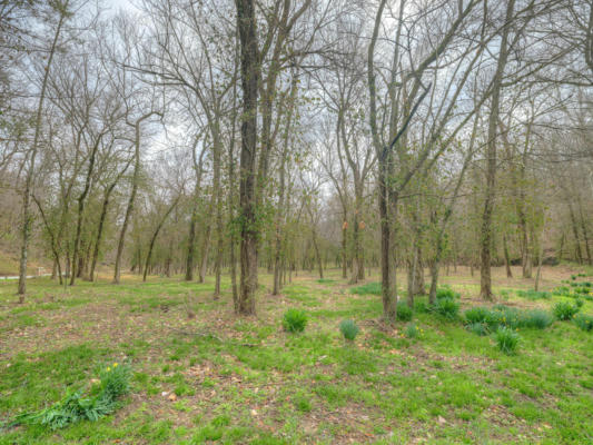 TRACT 2 8.45 ACRES WILDERNESS WAY, ANDERSON, MO 64831 - Image 1