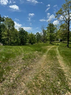 TRACTS 3&4 90 HIGHWAY, NOEL, MO 64854 - Image 1